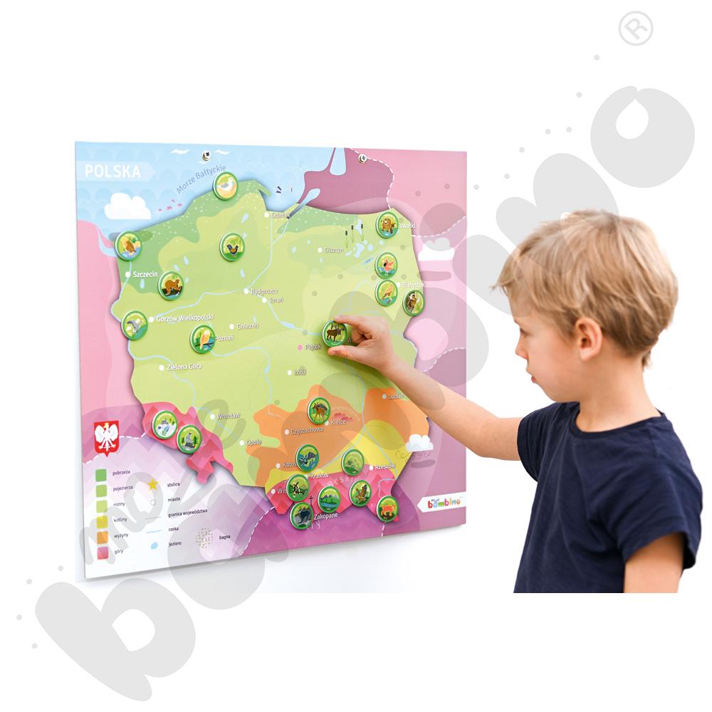 Magnetyczna mapa Polski