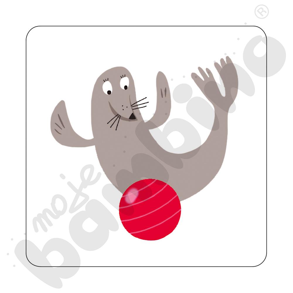 Tafelki magnetyczne – orientacja przestrzenna