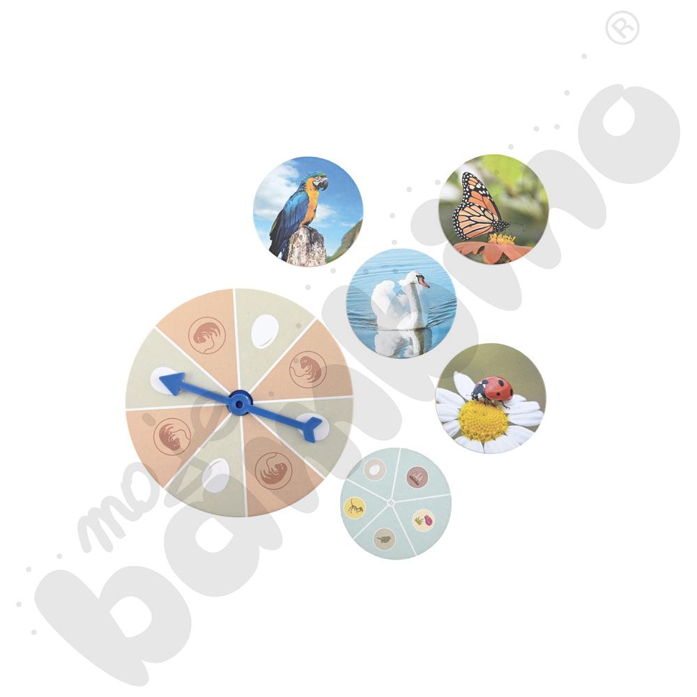 Odkrywamy świat zwierząt - gra