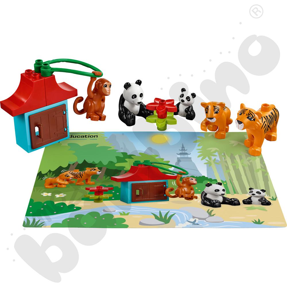 LEGO® DUPLO® Zwierzęta