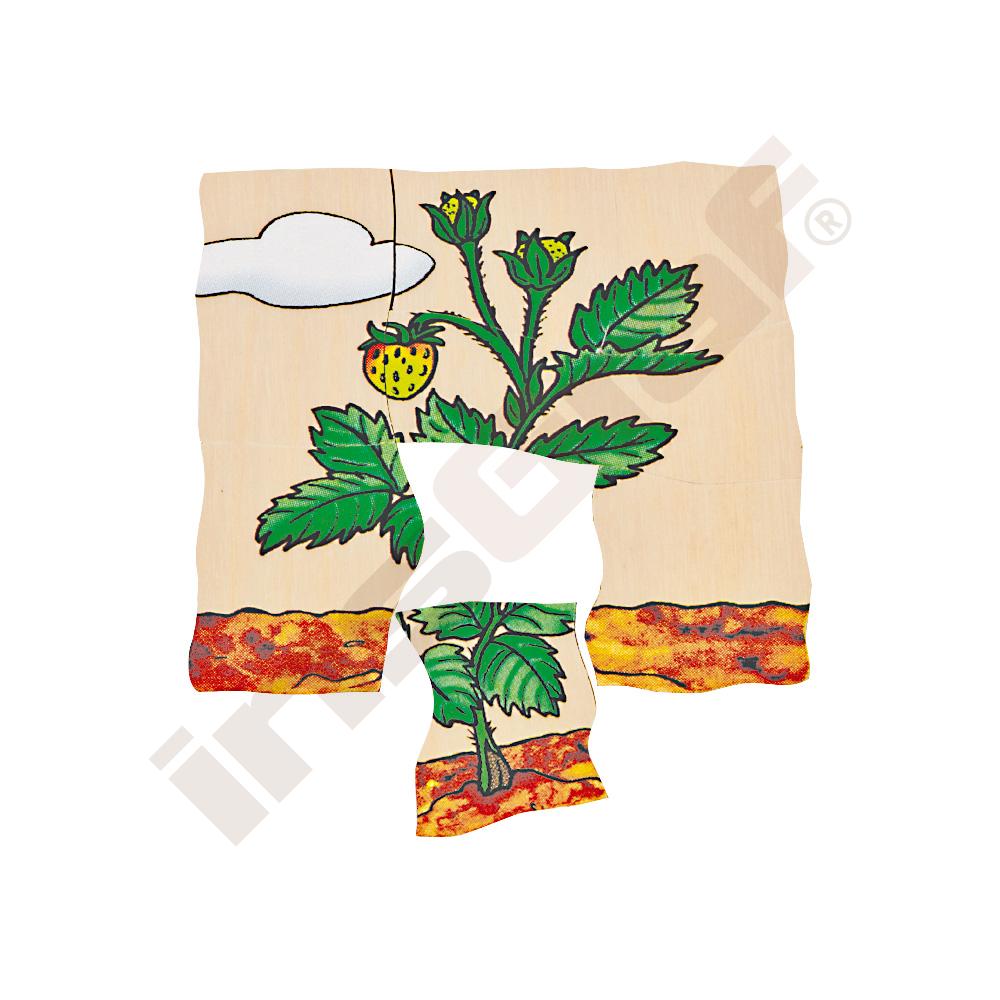 Edukační vícevrstvé puzzle - jahoda
