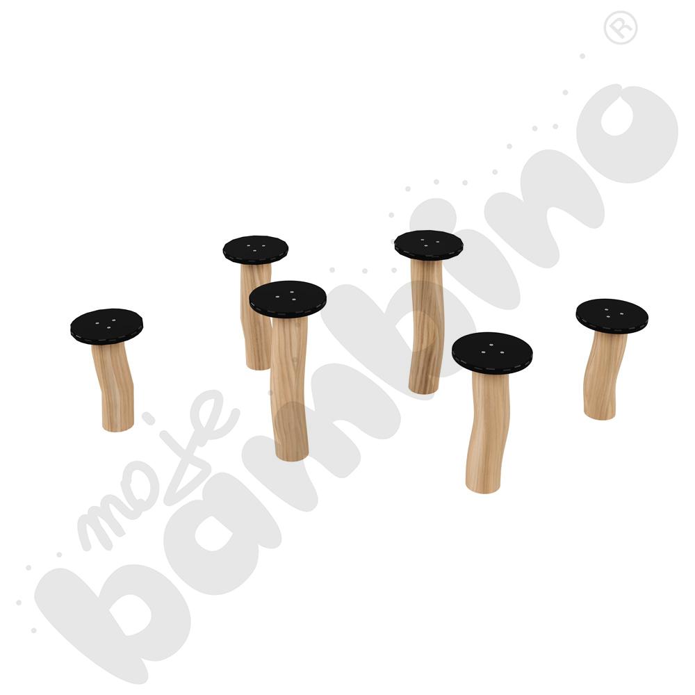 Robinio - zestaw do przeskoków