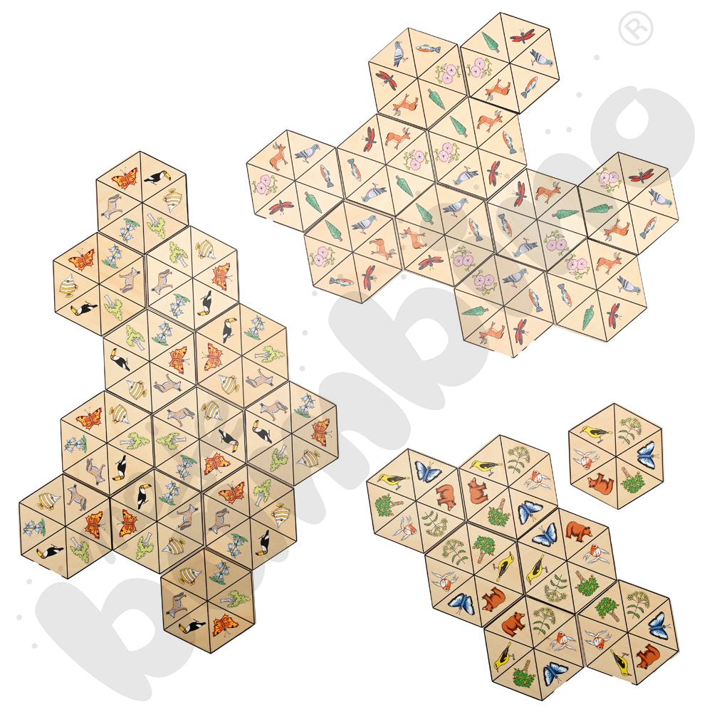 Hexagony – dopasuj obrazki