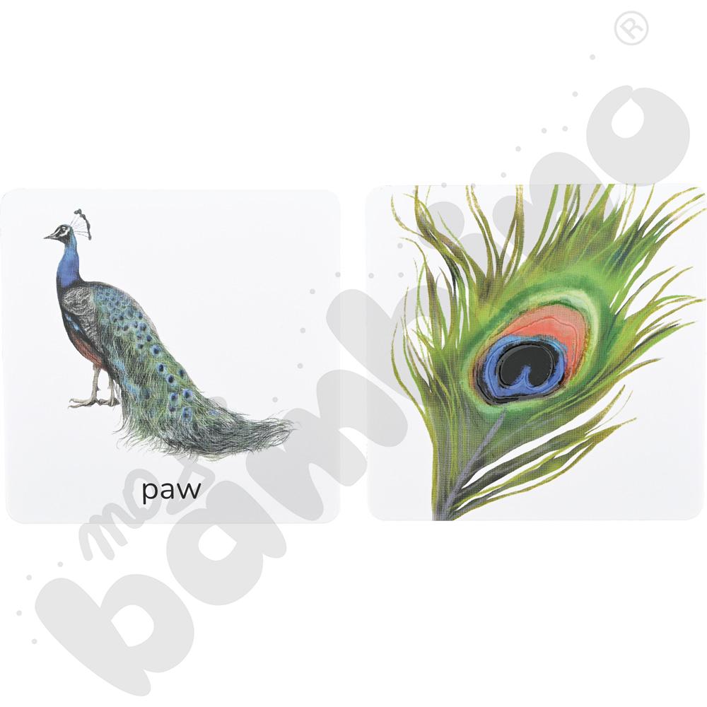 Zwierzęta tu i tam - karty sensoryczne z książeczką 