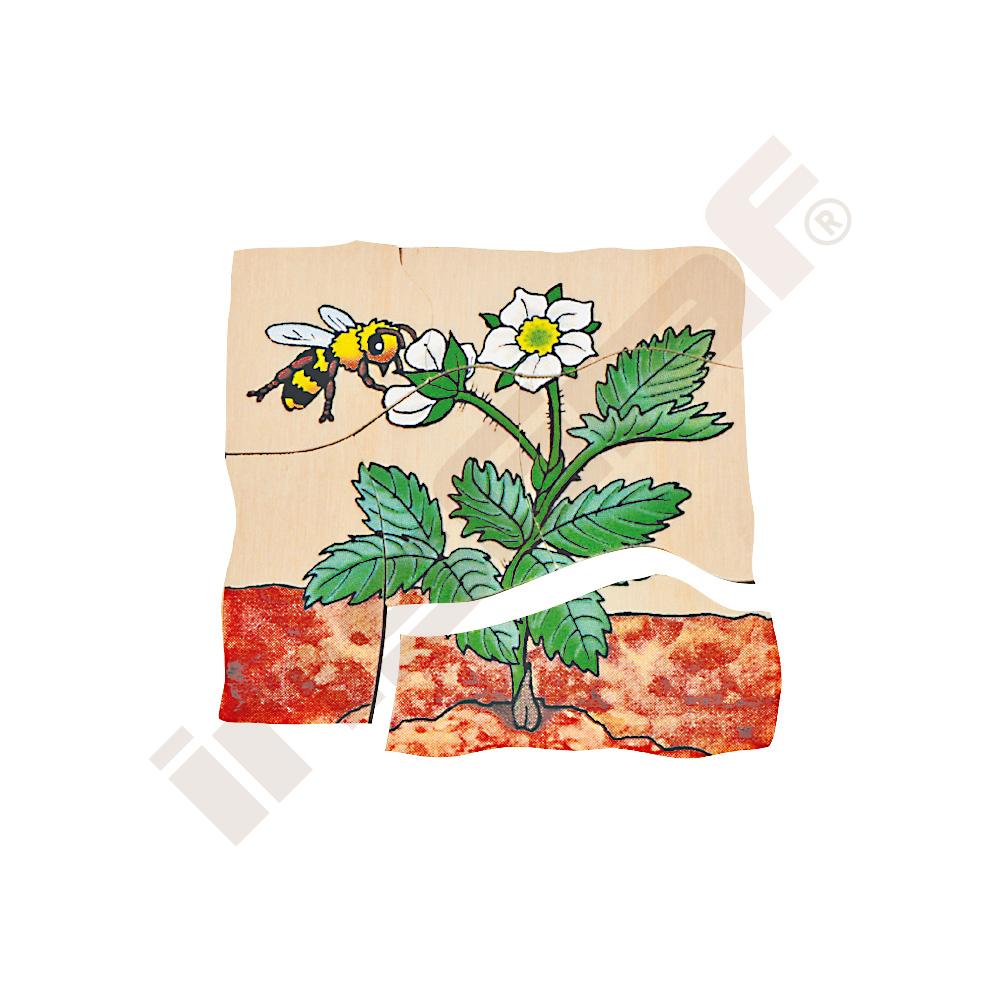 Edukační vícevrstvé puzzle - jahoda