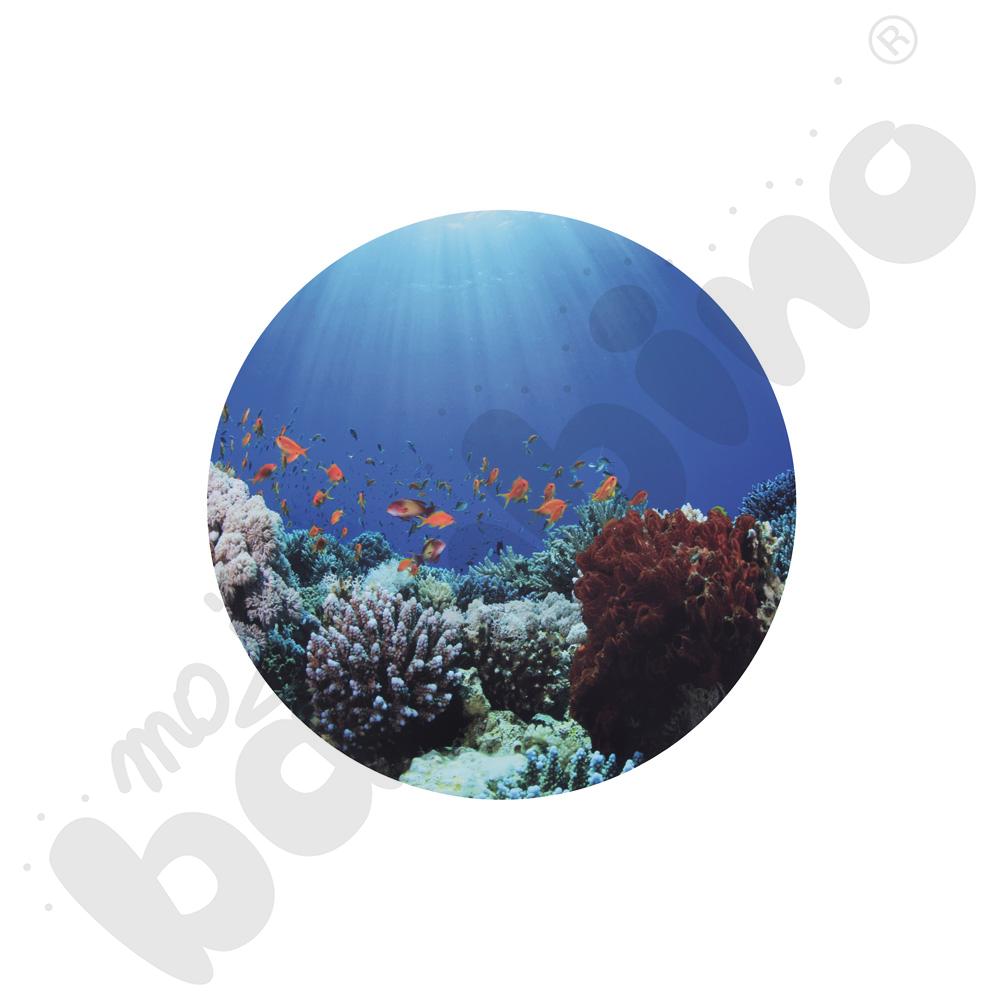 Plansza Odkrycia podwodnego świata