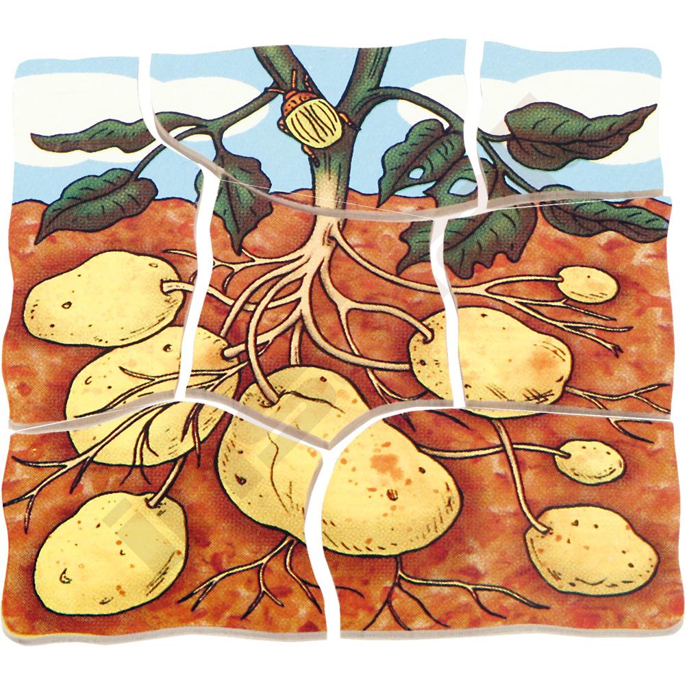 Edukační vícevrstvé puzzle - brambory