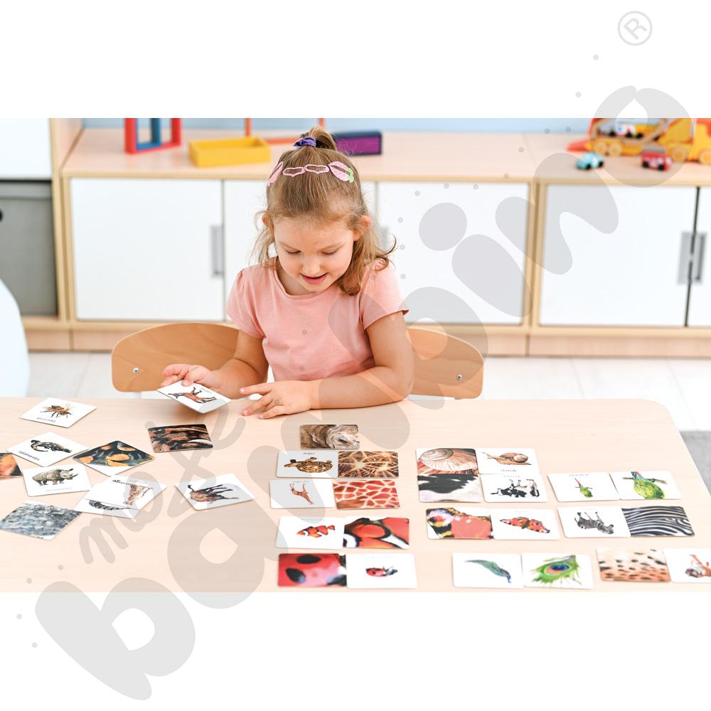 Zwierzęta tu i tam - karty sensoryczne z książeczką 