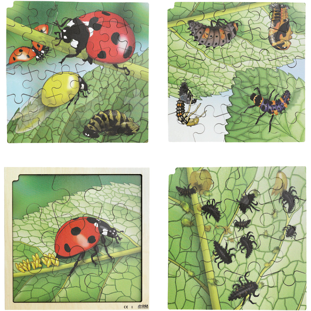 Puzzle - 4 vrstvové - životný cyklus lienky