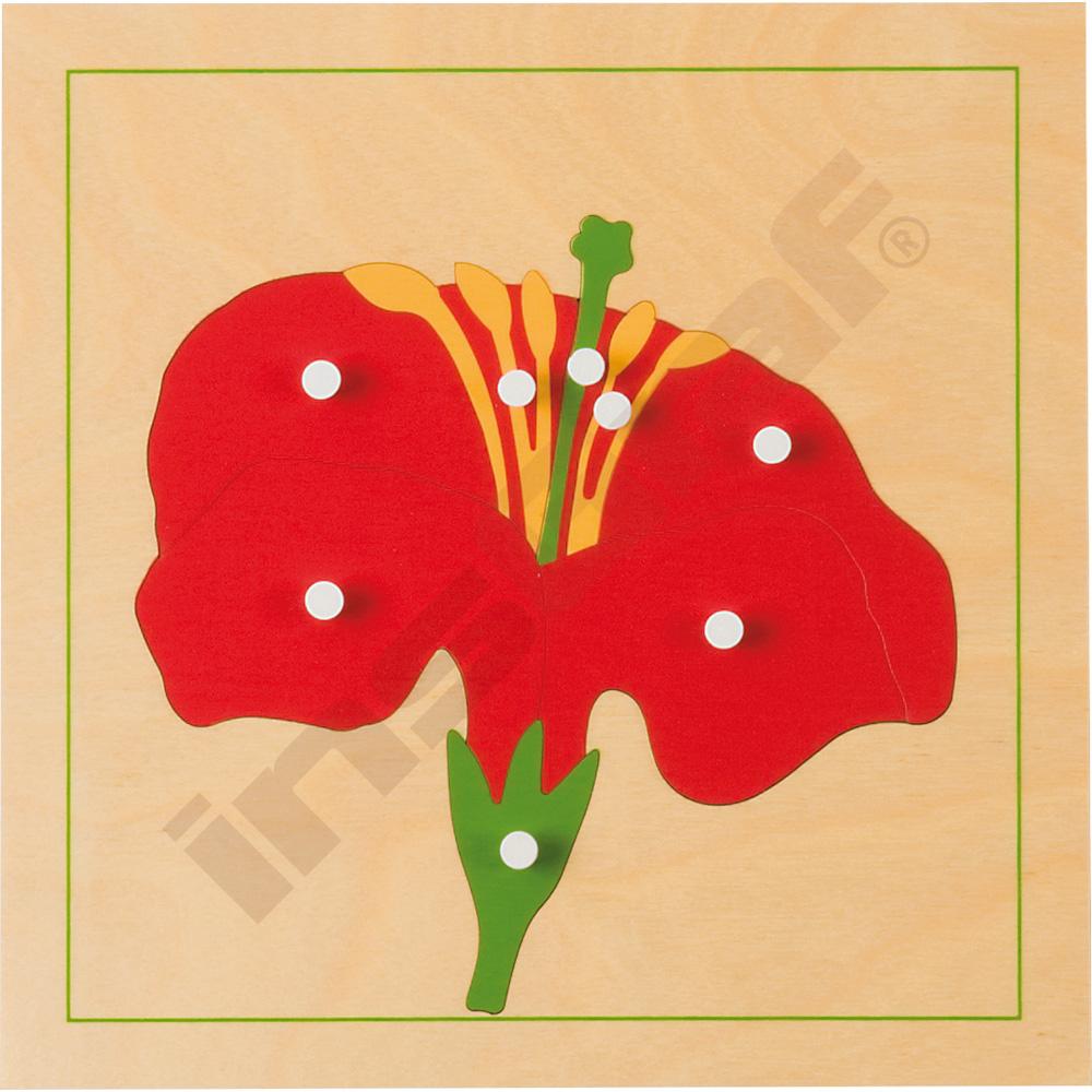 Botanické puzzle - kvet