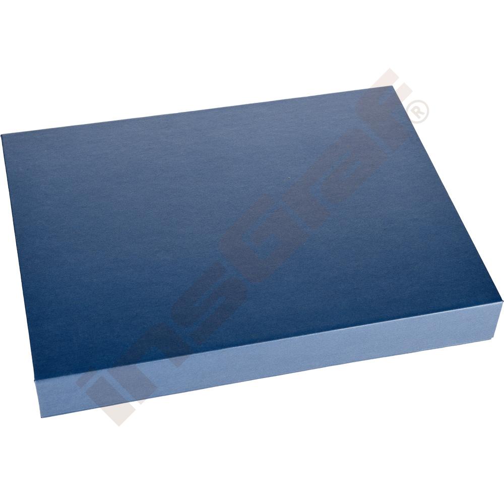 10 druhu hmyzu v plexi 