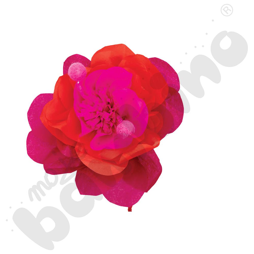 Bibuła 50 x 70 cm tonacja czerwona