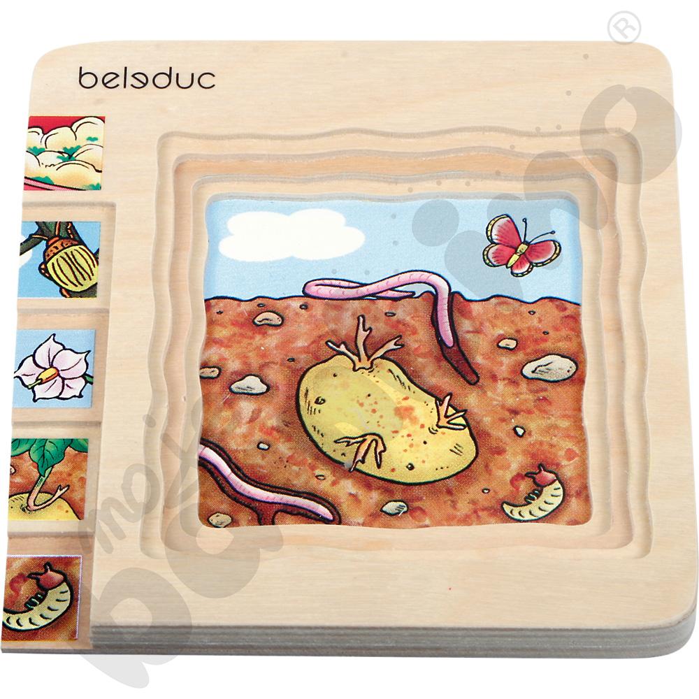 Edukacyjne puzzle warstwowe - ziemniaki