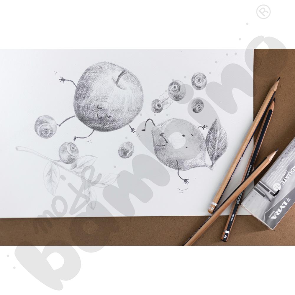 Ołówki o różnej twardości Lyra Graduate, 12 szt.