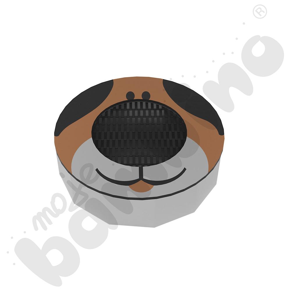   Trampolina Pies  