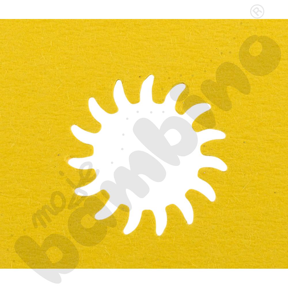 Dziurkacz średni słońce