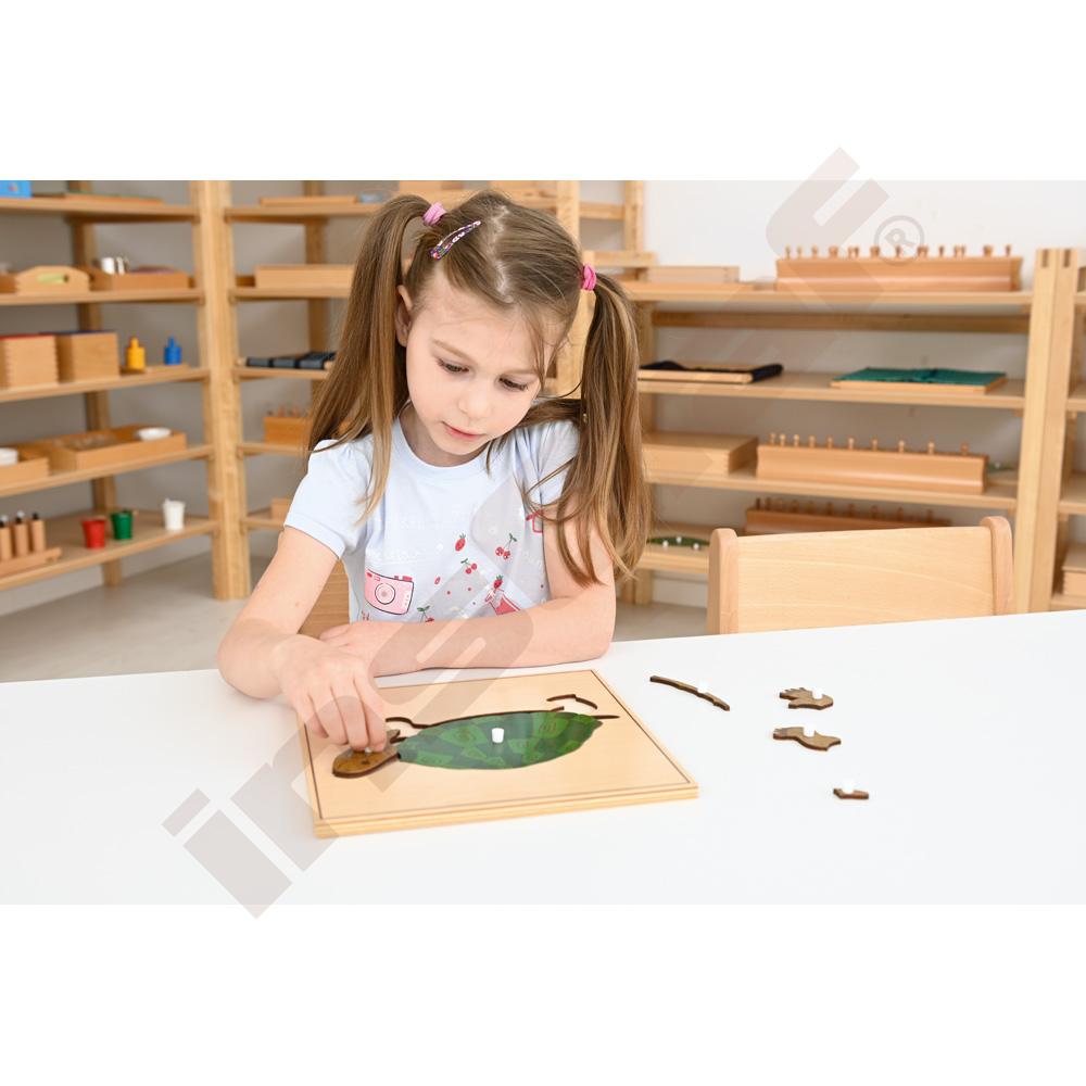 Dřevěné puzzle zvířata - želva
