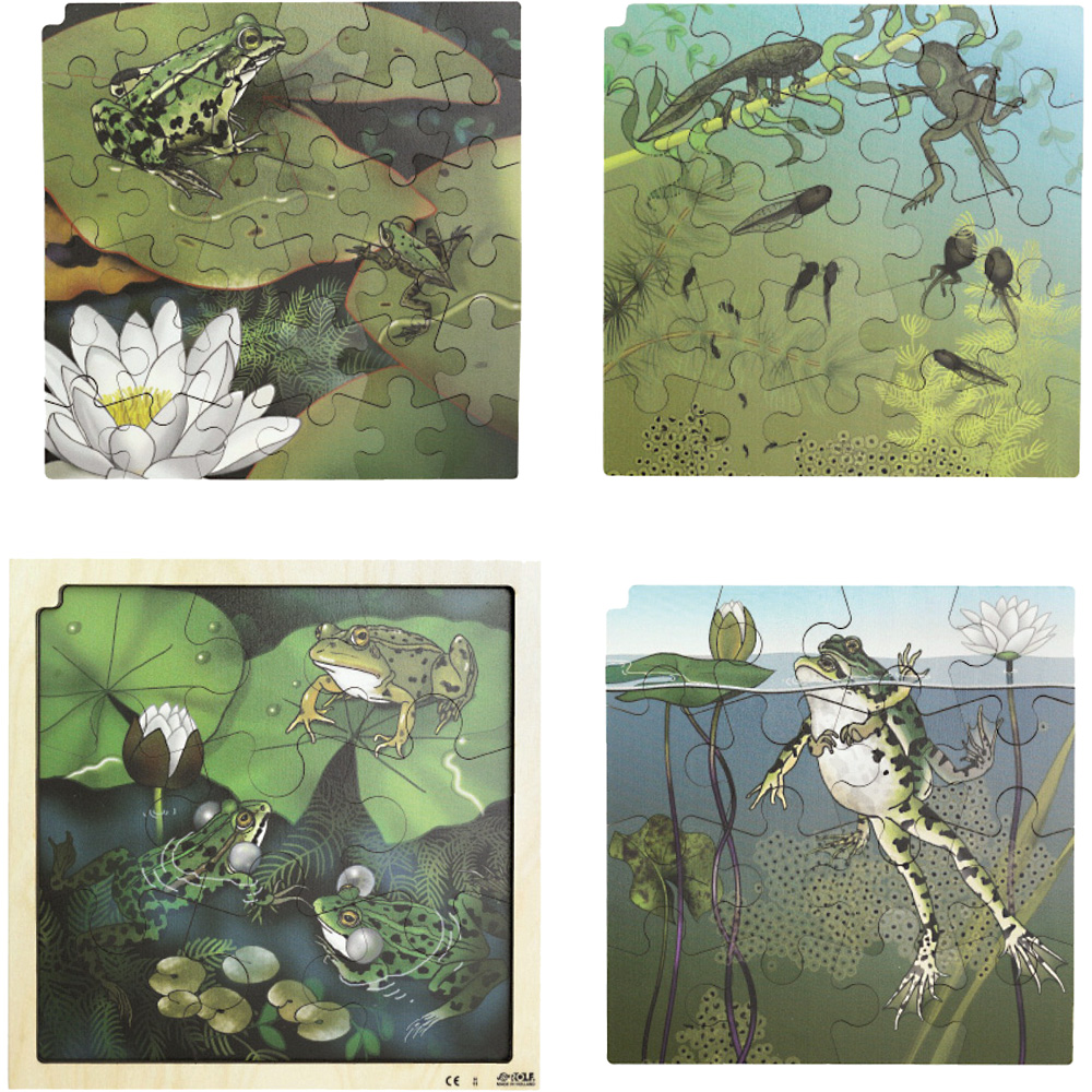 Puzzle - 4 vrstvové - životný cyklus žaby