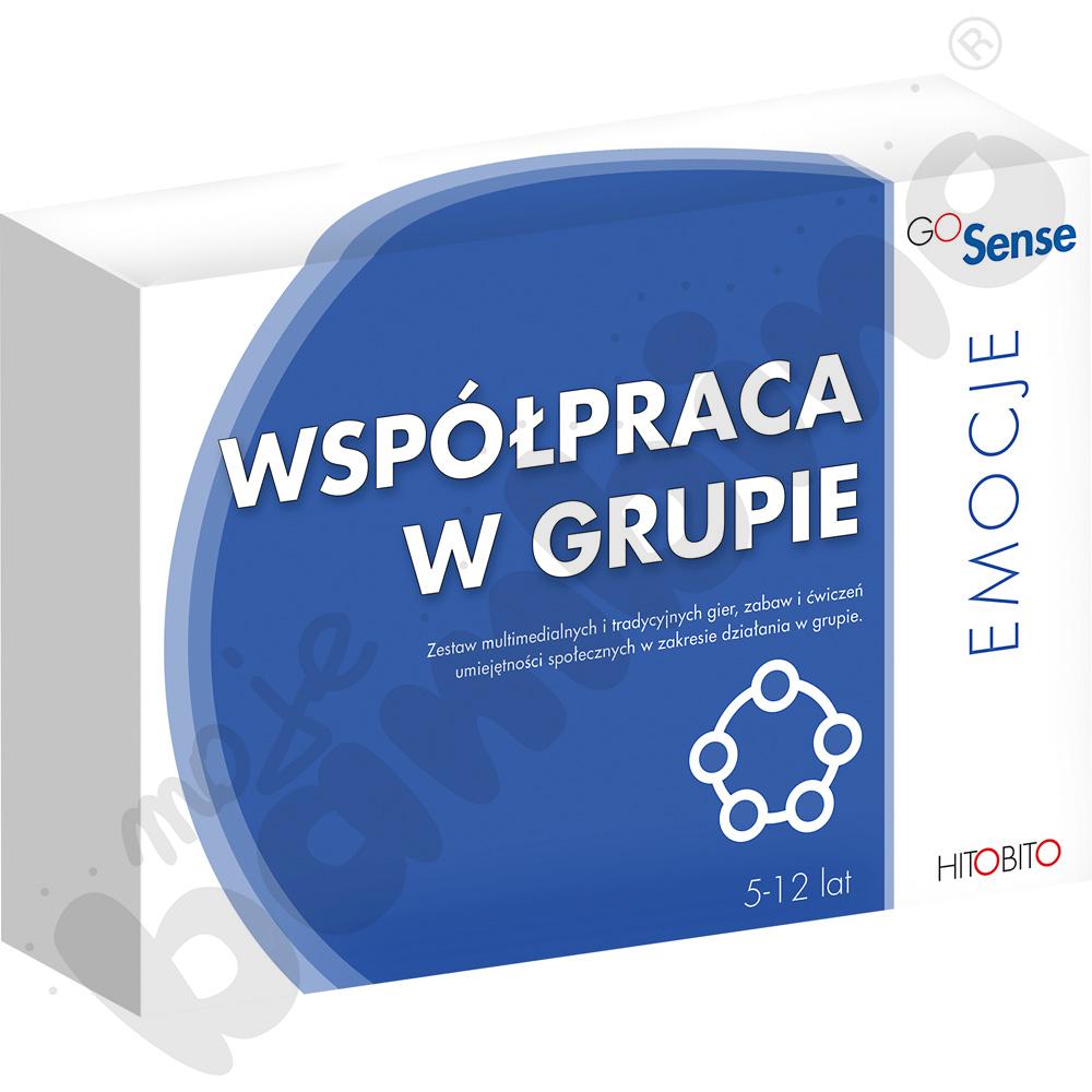 GoSense Współpraca w grupie