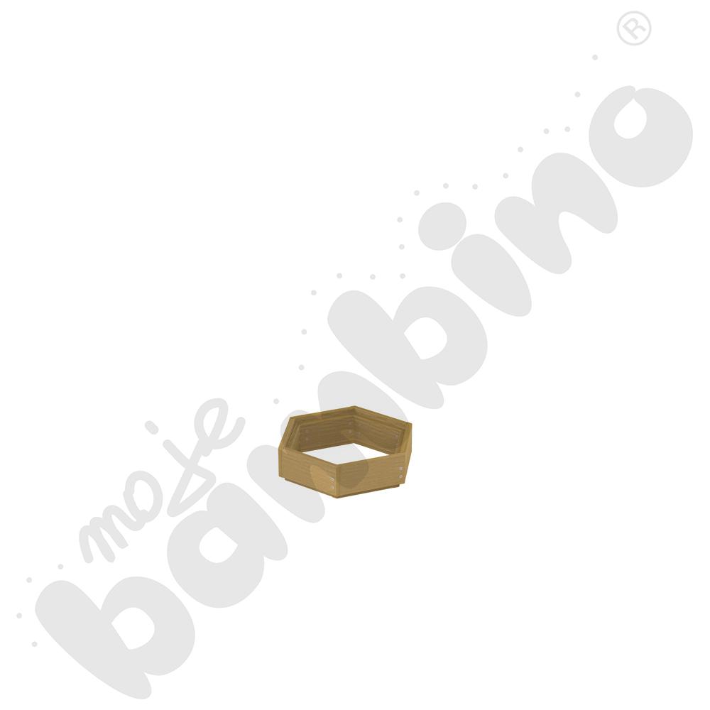 Sześciokąt sensoryczny Terra