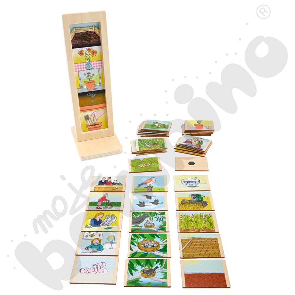 Cykl życia – człowiek, rośliny i zwierzęta – zestaw dla 1 os.