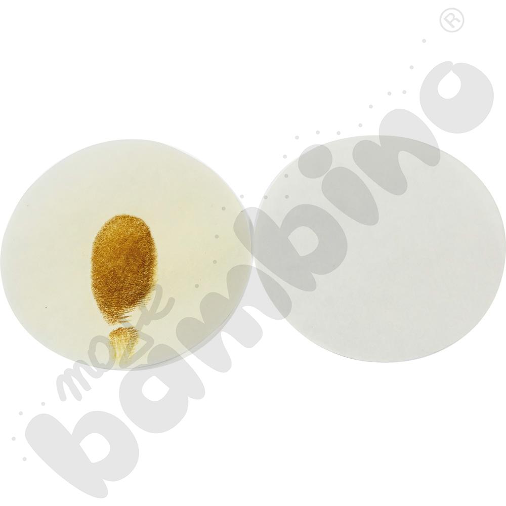 Klasowe Laboratorium: GENETYKA