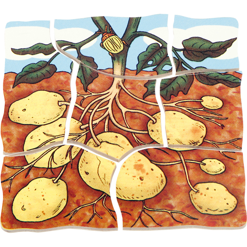 Edukačné viacvrstvové puzzle - zemiaky