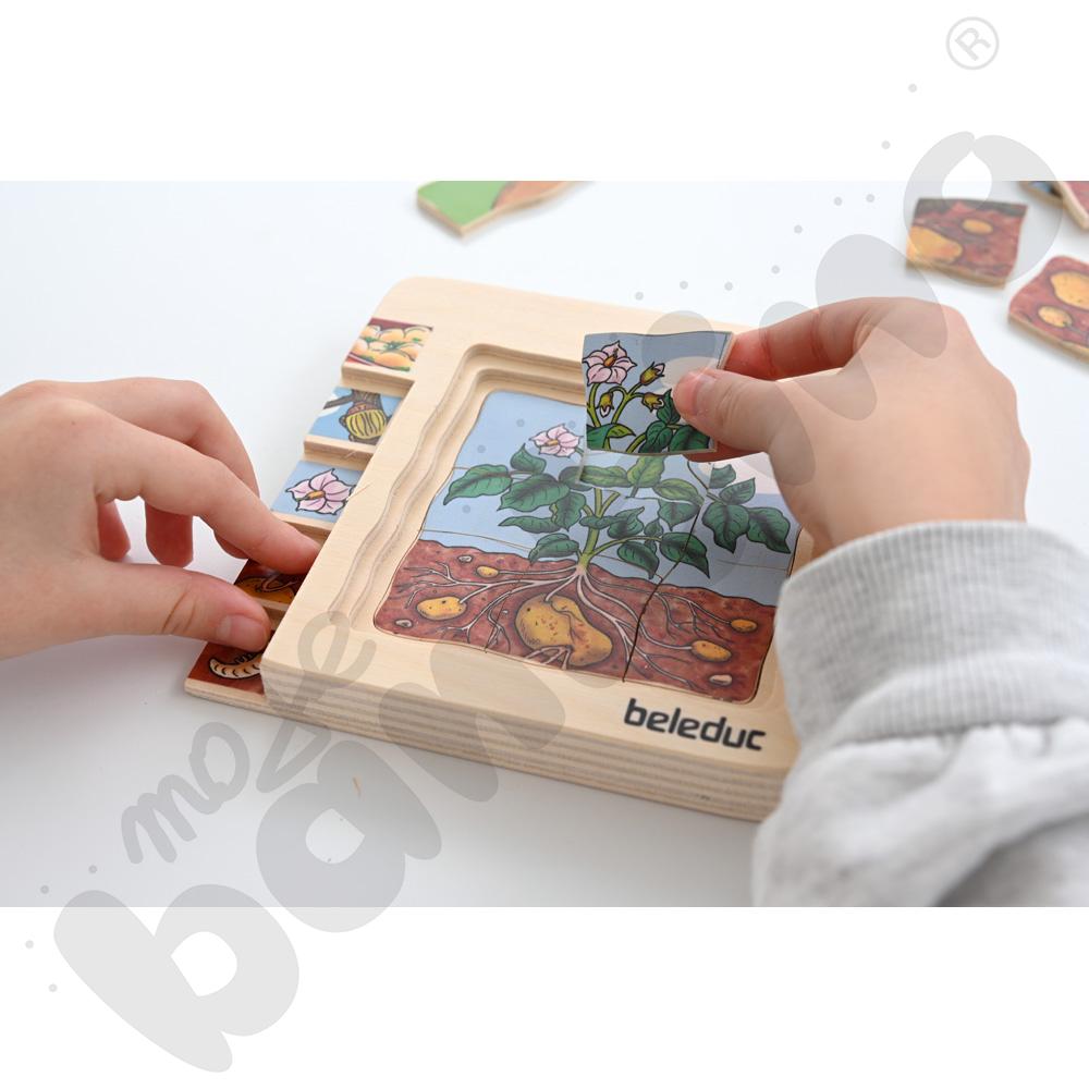 Edukacyjne puzzle warstwowe - ziemniaki