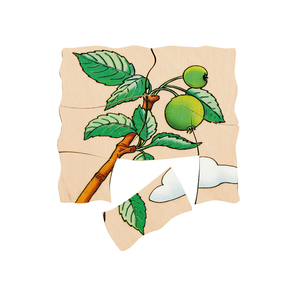 Edukačné viacvrstvové puzzle - jablko