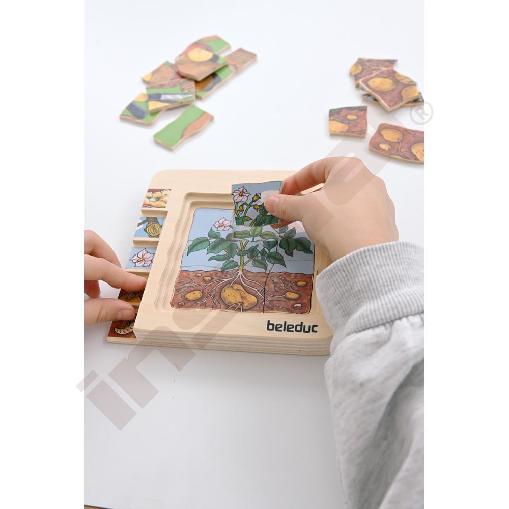 Edukační vícevrstvé puzzle - brambory