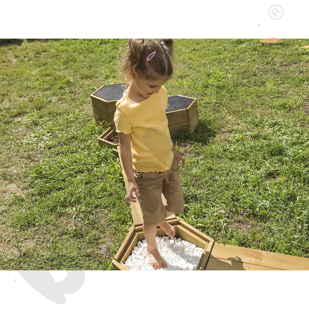 Sześciokąt sensoryczny Terra z kotwami