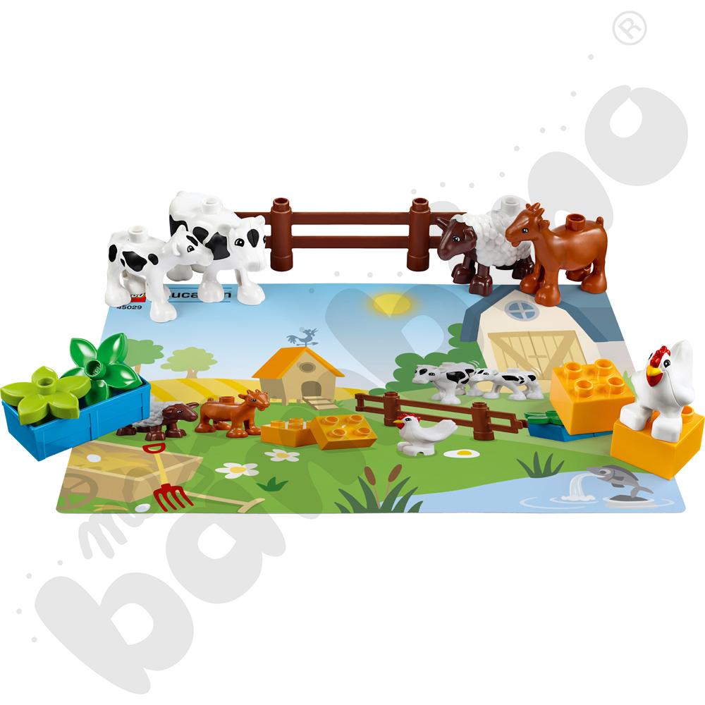 LEGO® DUPLO® Zwierzęta