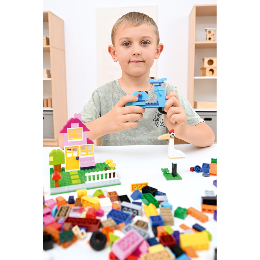 LEGO® Large Creative Brick Set