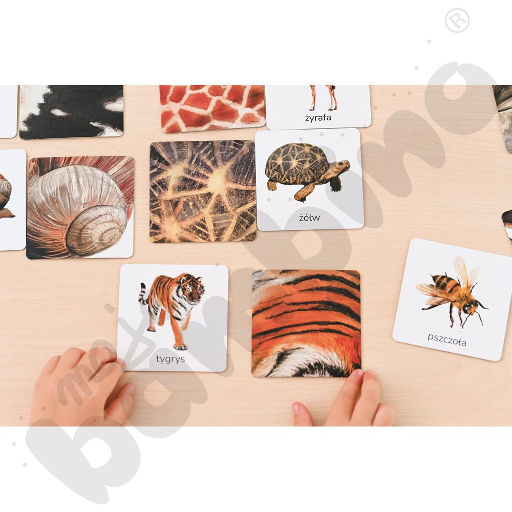 Zwierzęta tu i tam - karty sensoryczne z książeczką 