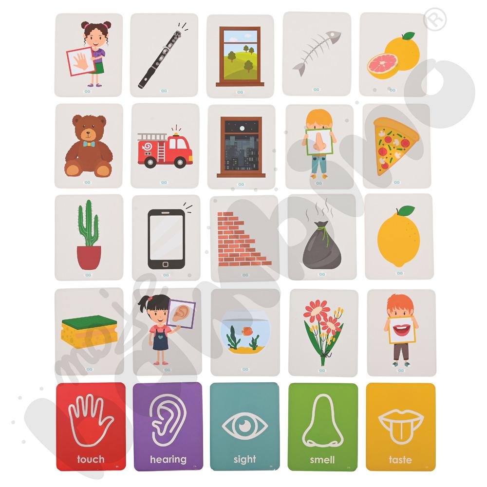 LOGI miniBot - zmysły - w języku angielskim