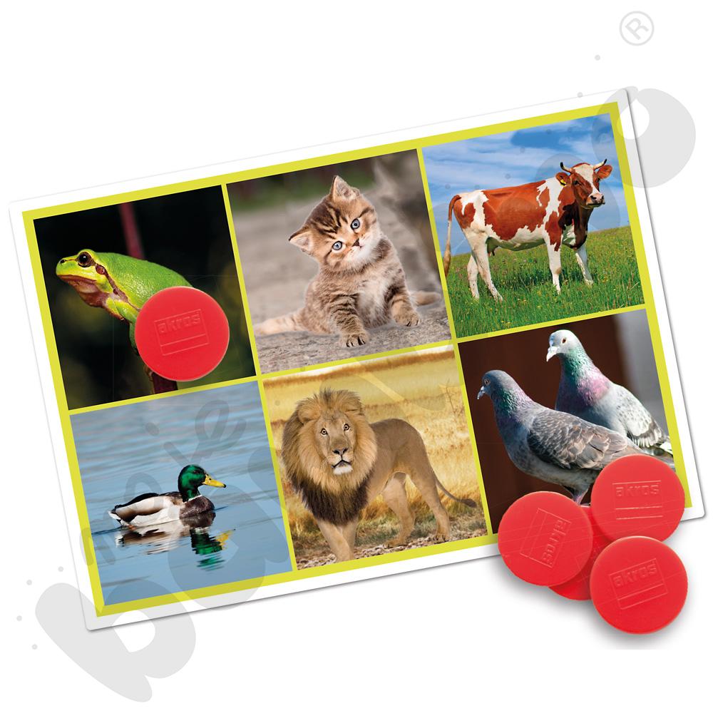 Zwierzęta i natura. Lotto dźwiękowe