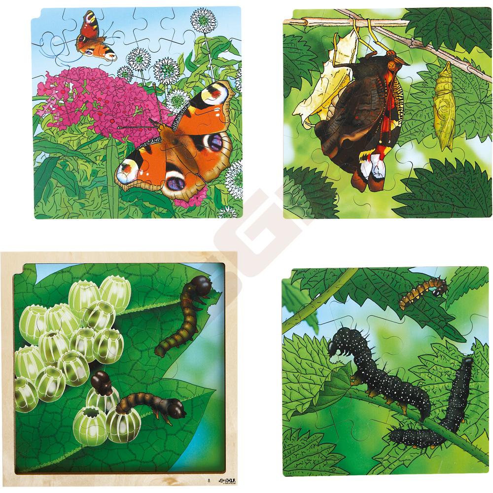 Puzzle - 4 vrstvové - životný cyklus motýľa