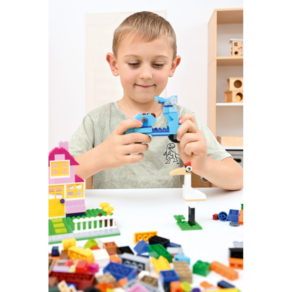 LEGO® Large Creative Brick Set