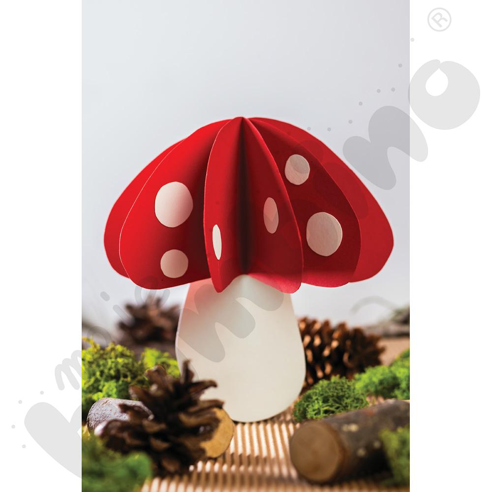 Karton gładki 25 arkuszy o wym. 50 x 70