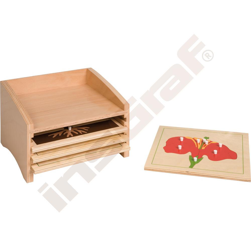 Montessori botanická komoda - 4 předěly 