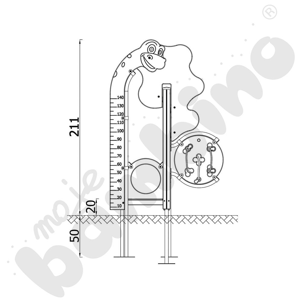 Dino - miarka wzrostu