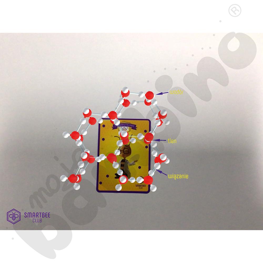 Premium BeeBox Zmiennokształtność - zestaw do eksperymentów