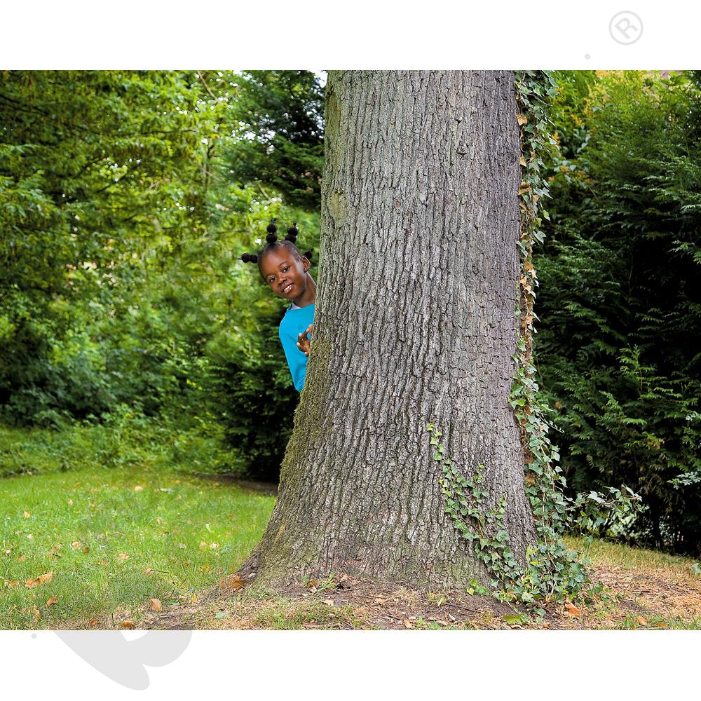 Słowa w obrazkach