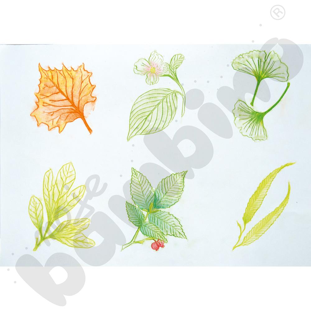 Podkładki do frottage'u - liście, 16 szt.