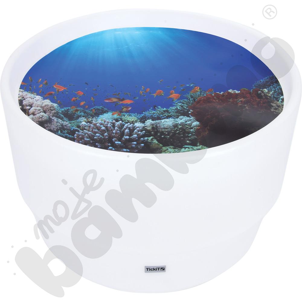 Plansza Odkrycia podwodnego świata