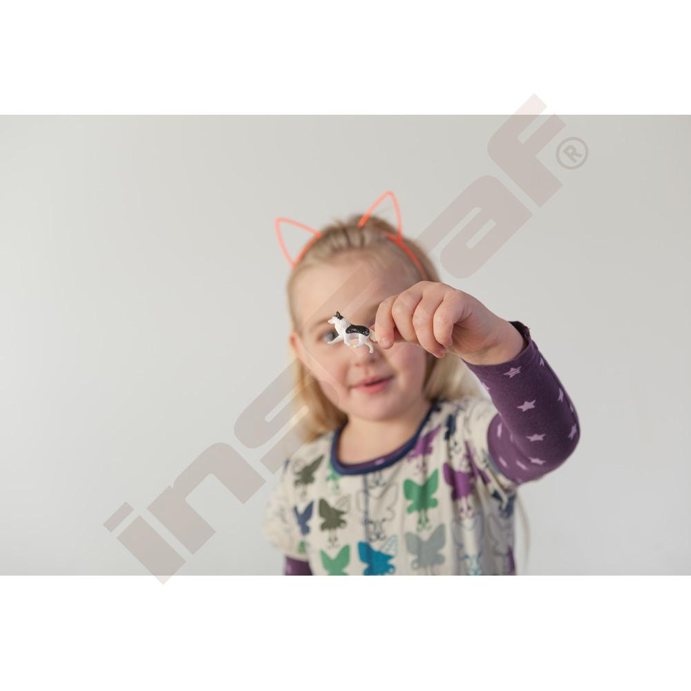 Montessori farma