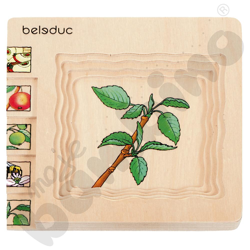 Edukacyjne puzzle warstwowe - jabłko