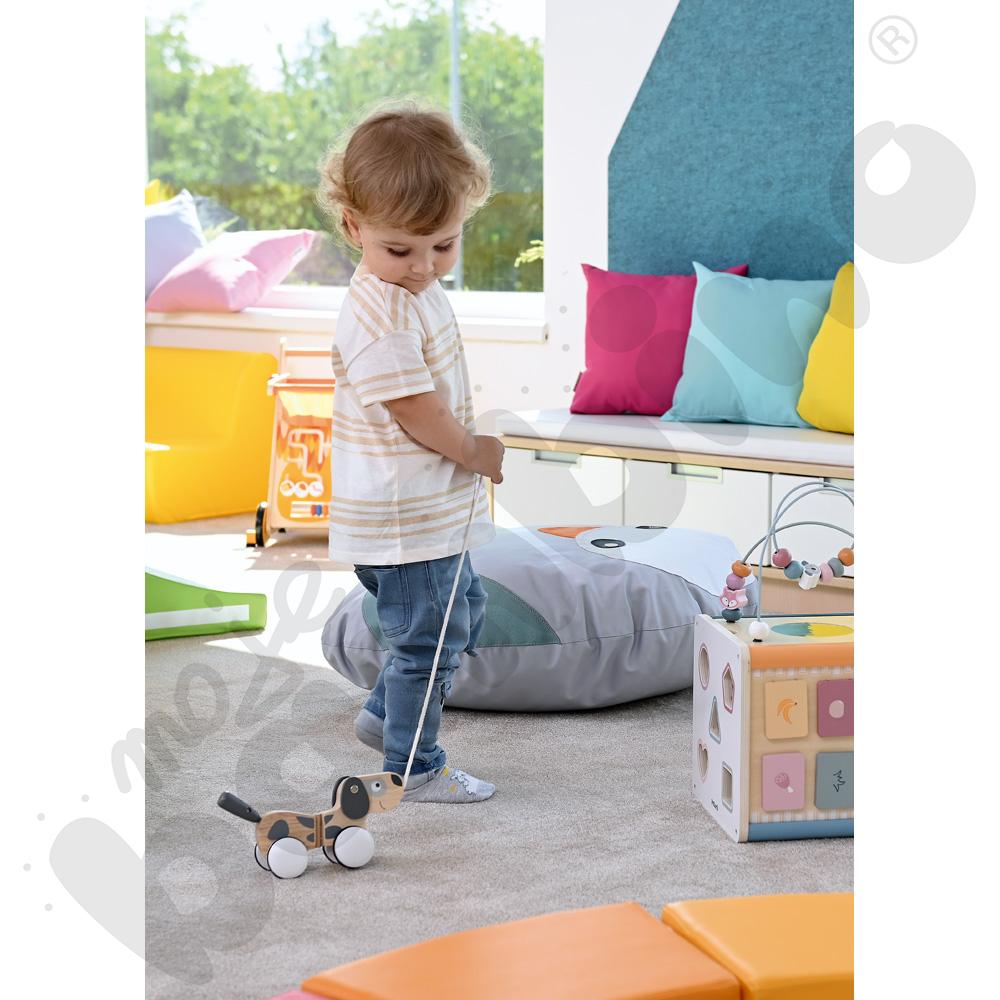 Piesek Tobiś do prowadzenia