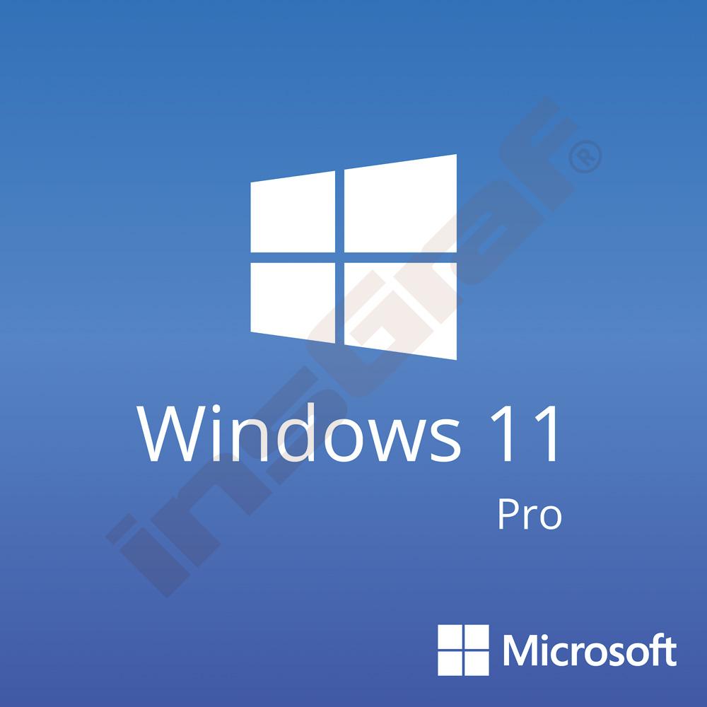 Microsoft Windows 11 Pro