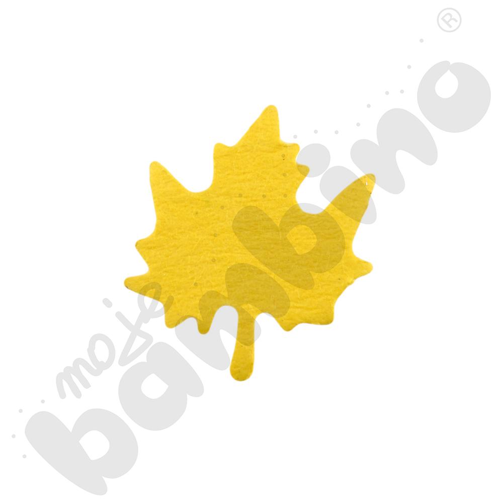 Dziurkacz średni liść klonu